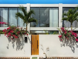 A modern building with a wooden door, white walls, and potted plants.