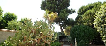 L' Agapanthe - SAINTE MARIE LA MER