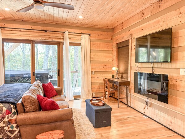 Smart TV, fireplace, books, stereo