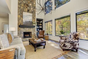 Télévision, cheminée, jeux vidéo