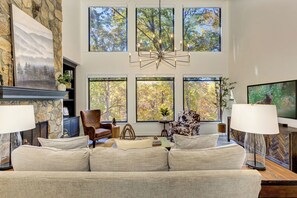 Télévision, cheminée, jeux vidéo