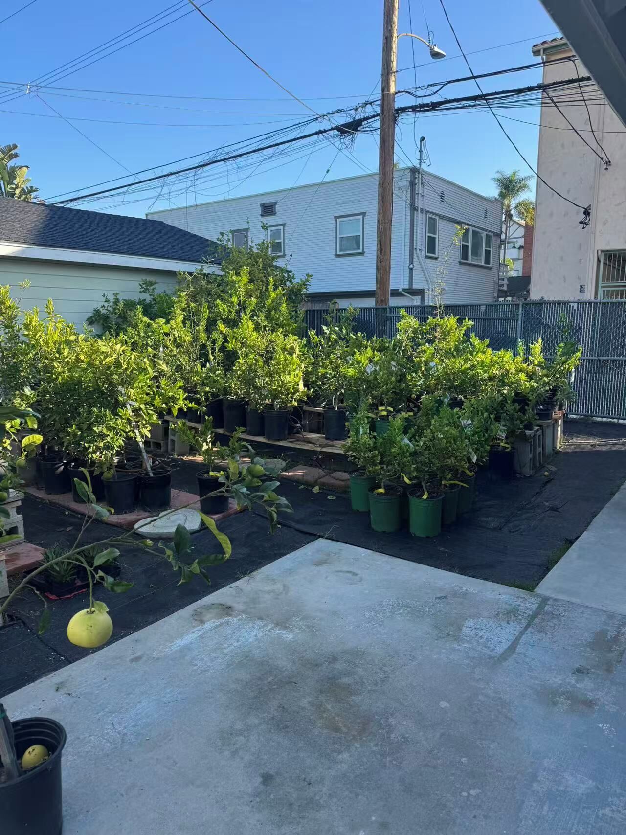 Overnattingsstedets uteområder