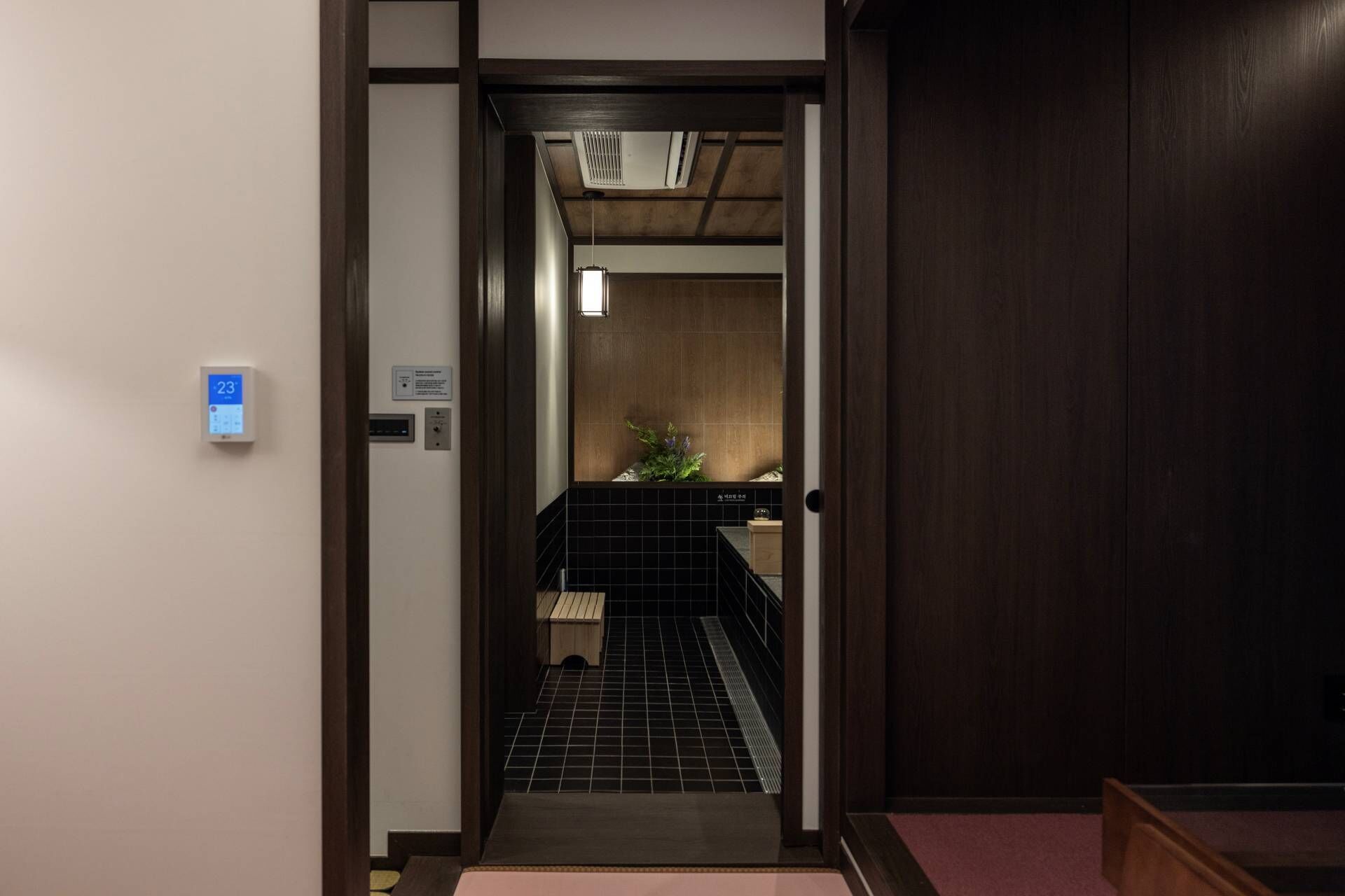 A narrow hallway with a wooden door leading to a room with a black tiled floor and a small plant.