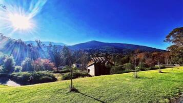 Área da propriedade