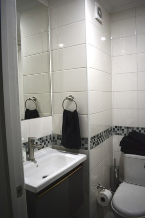 Een haardroger, handdoeken, zeep, toiletpapier
