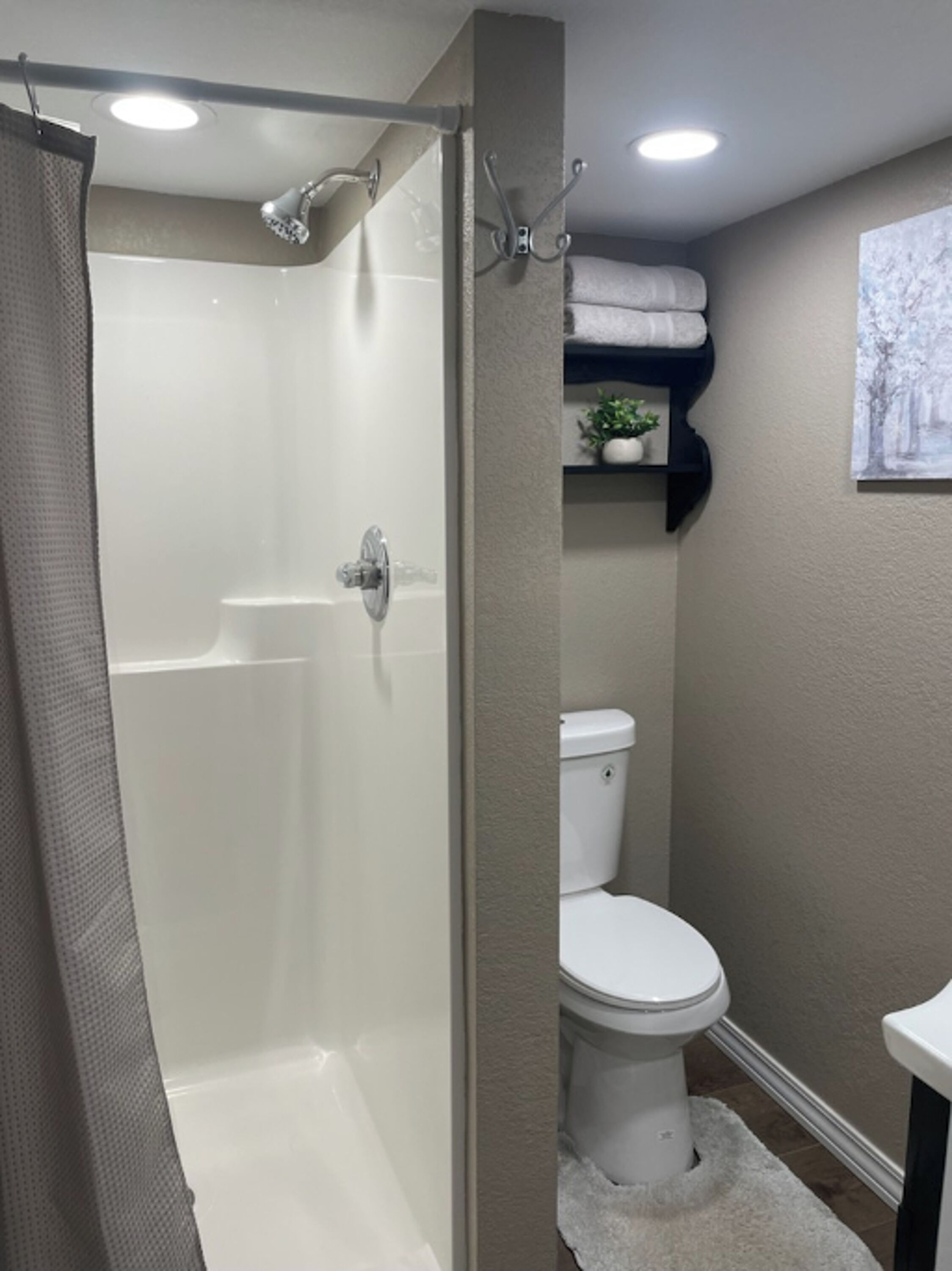 Shower, towels, toilet paper