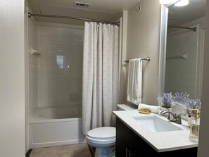 Secadora de cabello, toallas, jabón, shampoo 