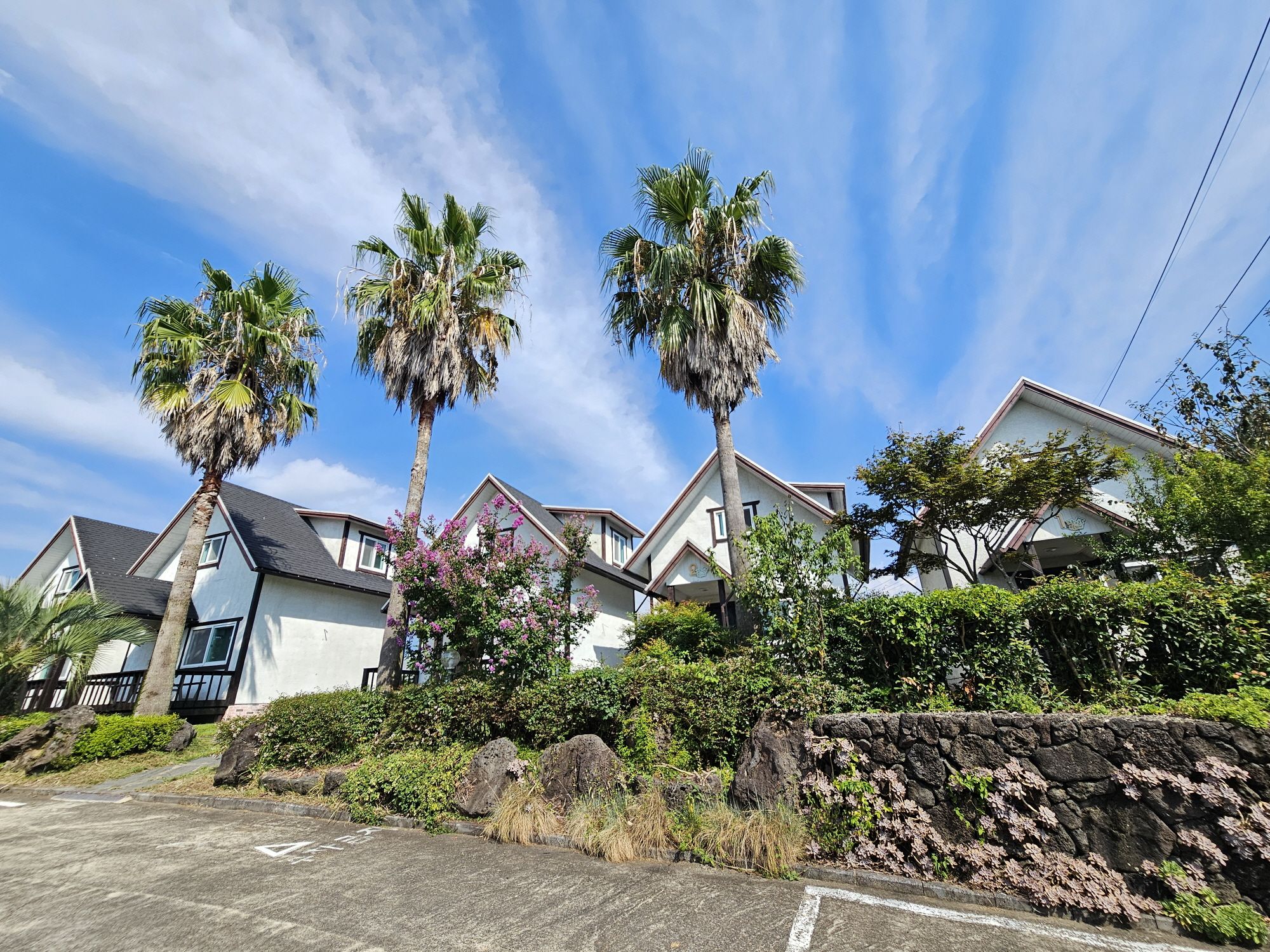 A residential area with houses, palm trees, and a stone wall.