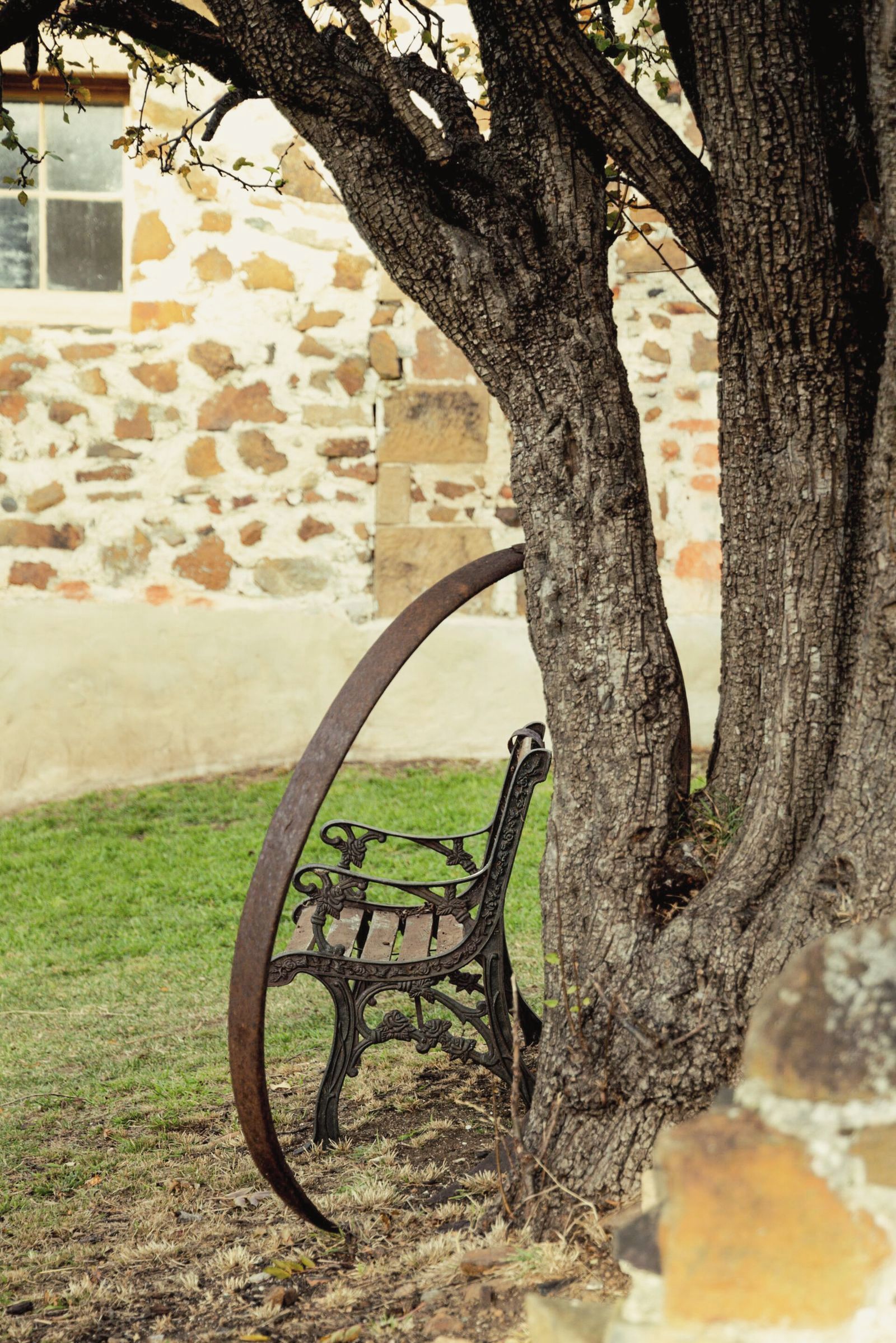 A bench under a tree with a stone wall in the background.