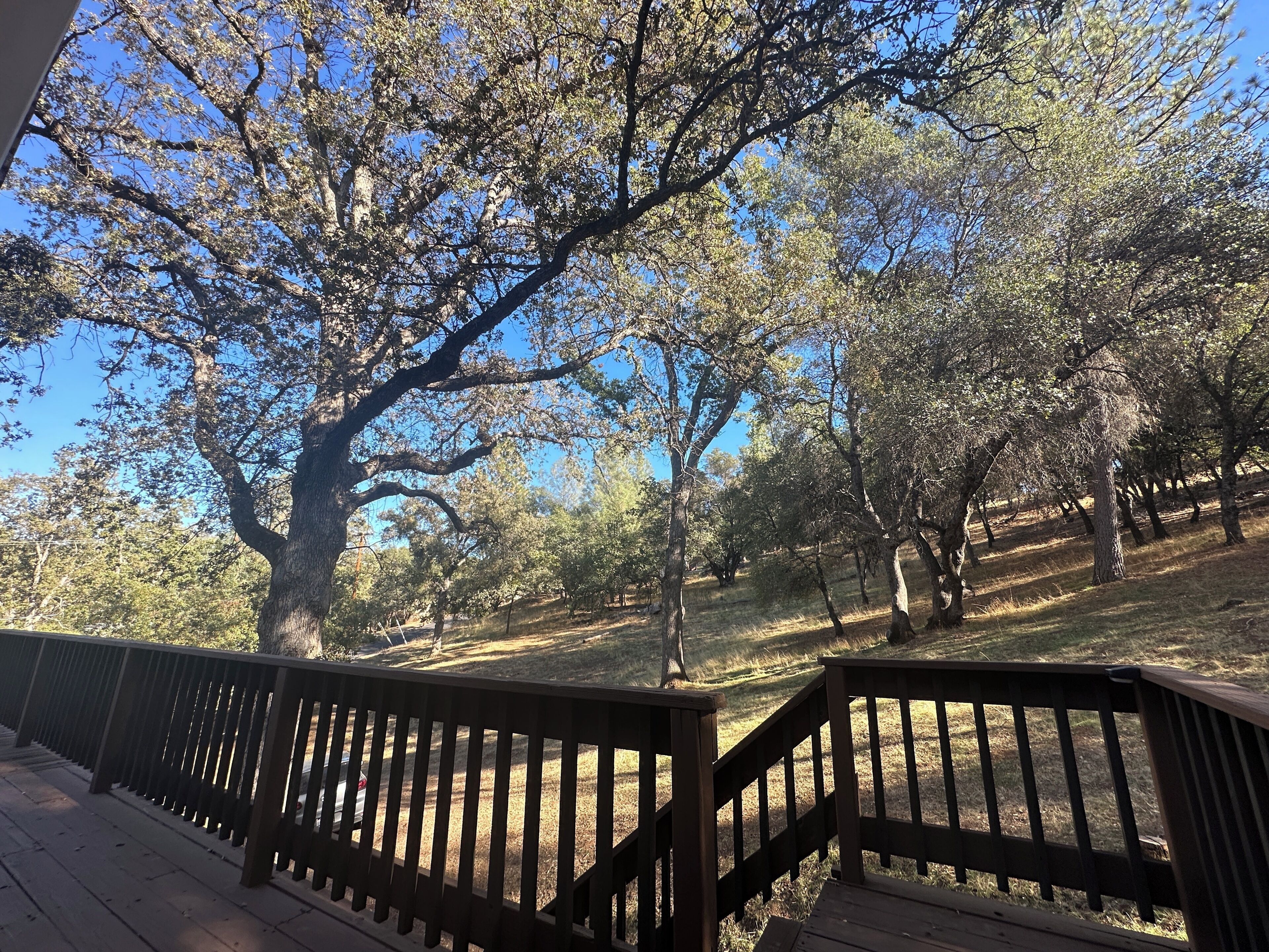 Terrain de l’hébergement 