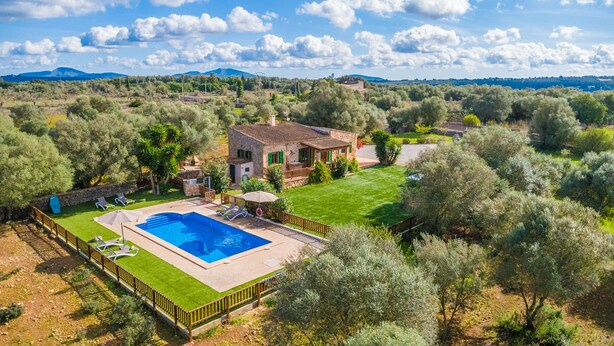 Una villa con piscina, circondata da ulivi e un prato curato.