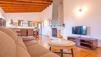 TV, ping pong, books