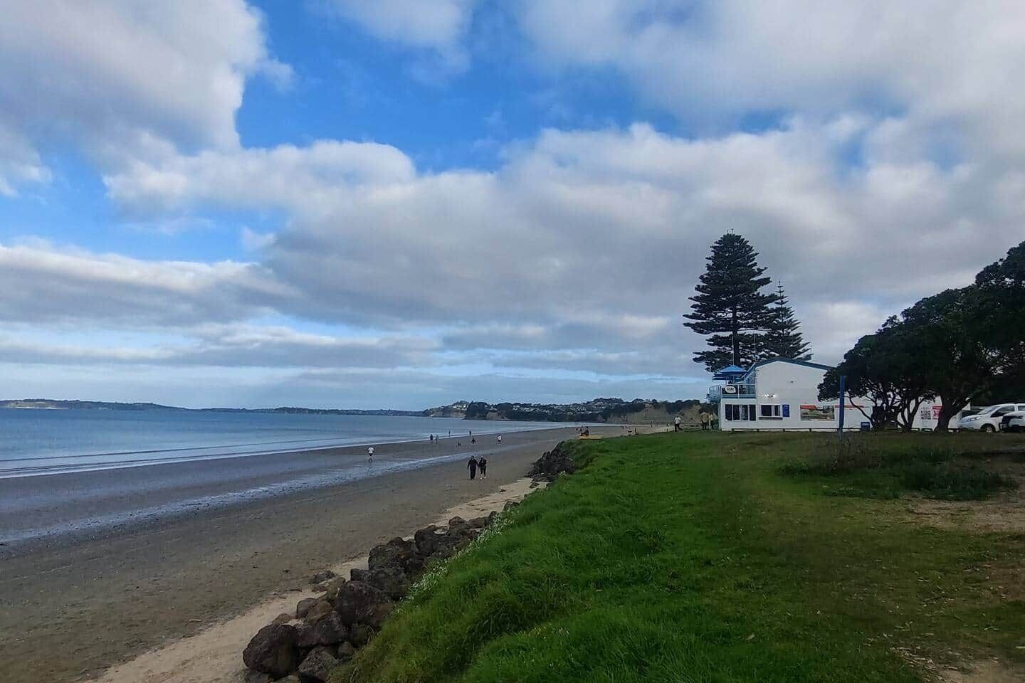A coastal view with a beach, a large coniferous tree, and a white building with a blue roof.