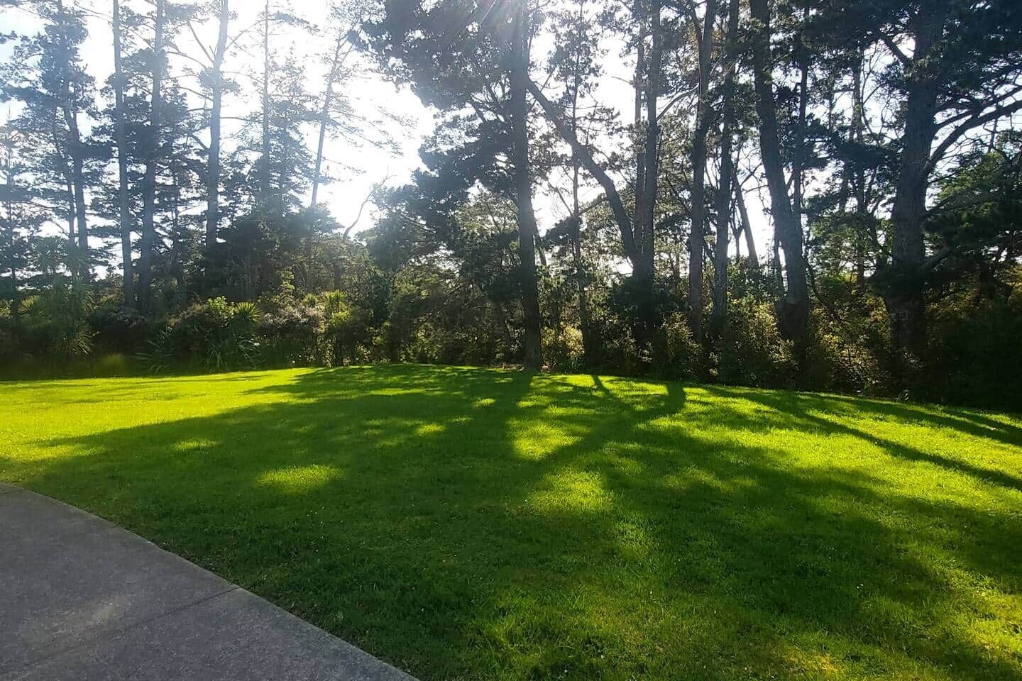 Um gramado bem cuidado com um caminho de concreto à esquerda.