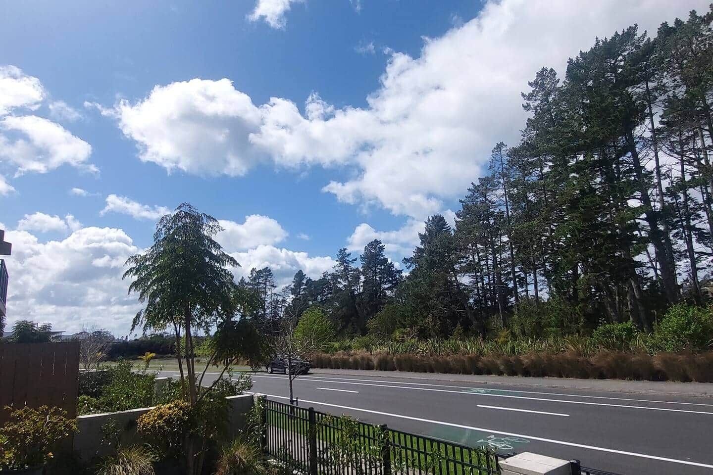 En väg med en cykelbana, omgiven av träd och en klar himmel.