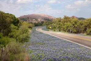 A road curving through a field of blue flowers with trees on either side and a mountain in the distance. - 5/2 (two kings), fireplace, hot tub, firepit (Blanco)