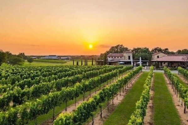 Miscellaneous - 5/2 (two kings), fireplace, hot tub, firepit (Blanco)