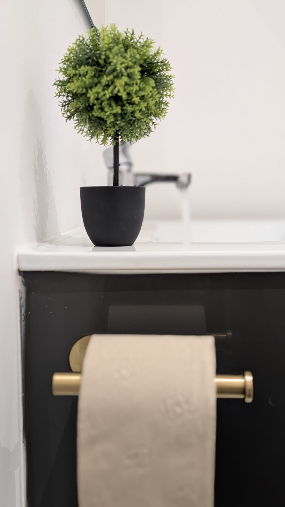 Una pequeña planta en maceta sobre una estantería blanca, encima de un inodoro con una toalla color beige colgada en un soporte de latón.