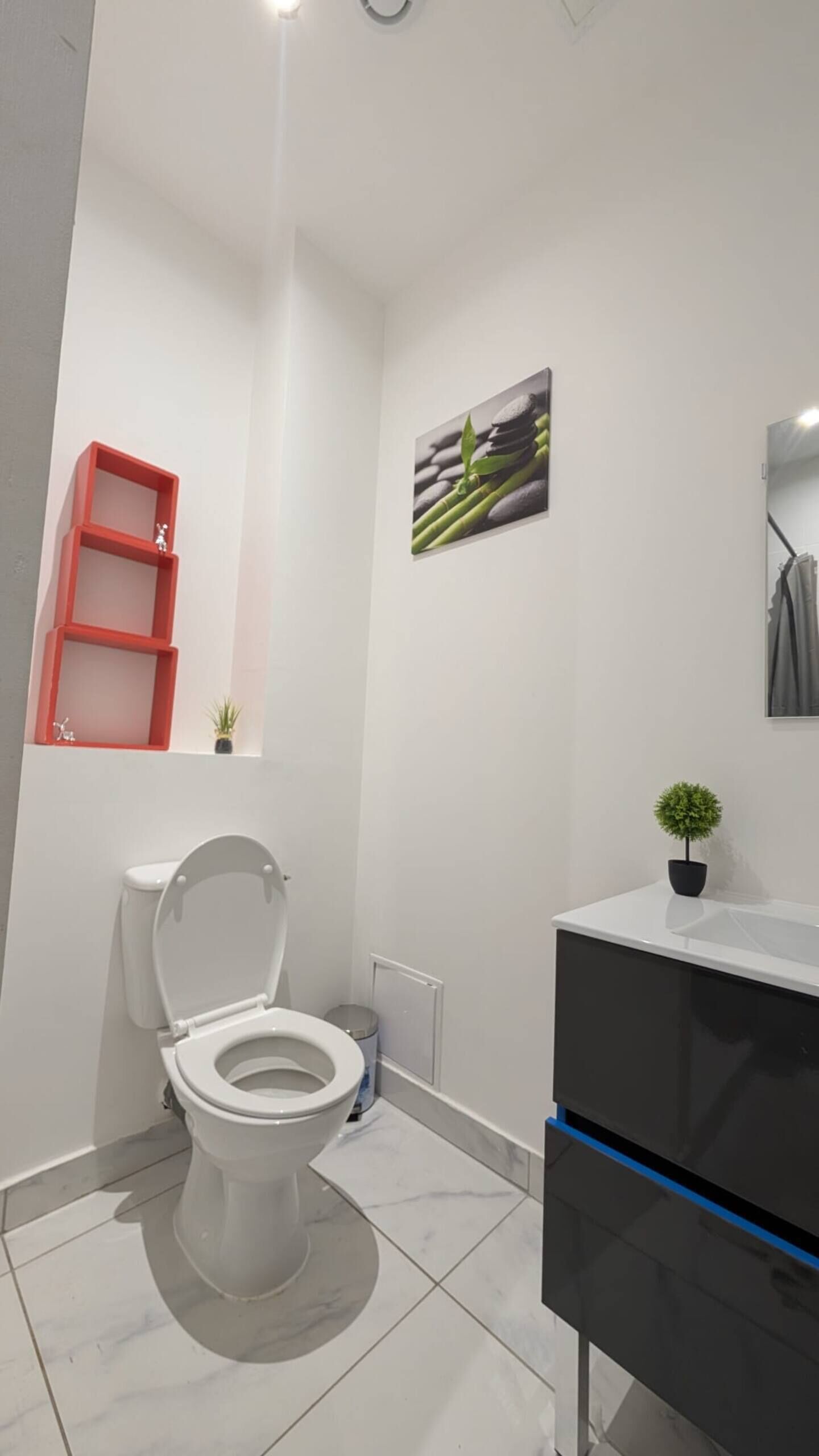Une salle de bain moderne avec des toilettes, un lavabo et une petite étagère sur laquelle est posée une plante.