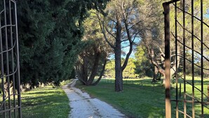Un sentiero sterrato che si snoda in un parco con alberi e un cancello in metallo.