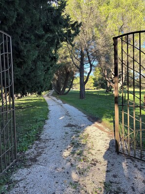 Property grounds - Gîte Alpilles 63m², 4 pers. air-conditioned, Swimming pool, Mas de la Meunerie in Fontvieille (Fontvieille)