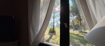 Gîte Alpilles 63m², 4 pers. air-conditioned, Swimming pool, Mas de la Meunerie in Fontvieille
