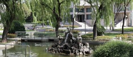 Vista desde la propiedad