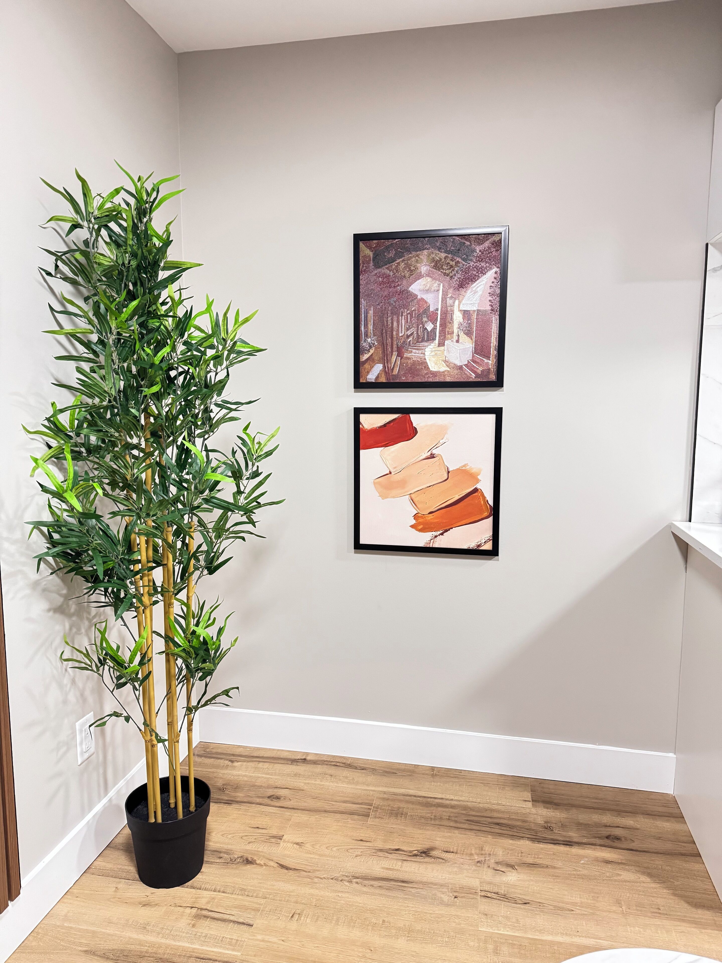 Une pièce avec une plante en bambou dans un pot noir, un plancher en bois et deux œuvres d’art encadrées accrochées au mur.