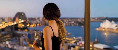 A person holding a glass of wine, overlooking a cityscape with a body of water and a prominent building in the distance.