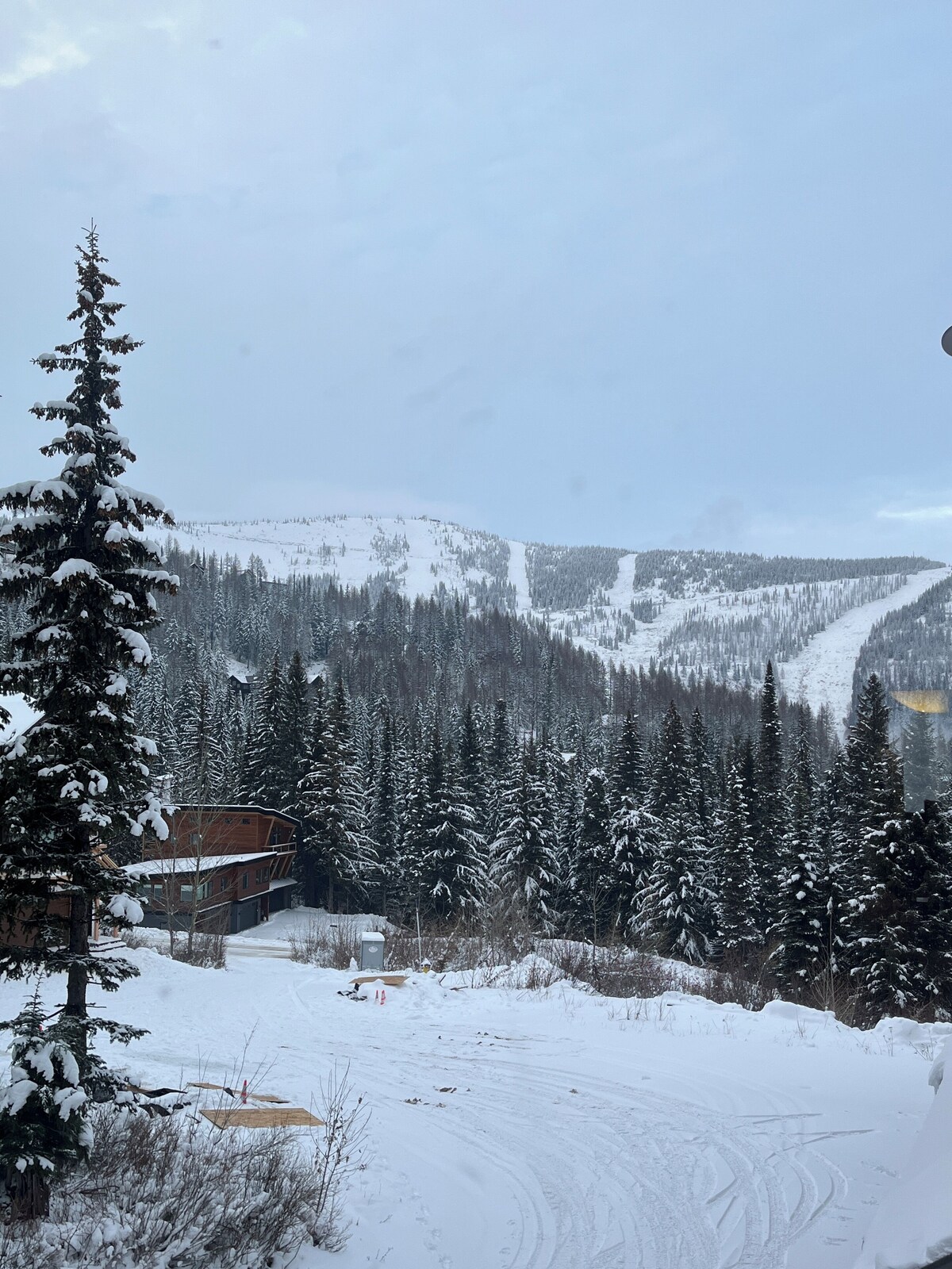 オーナーのプロフィール画像