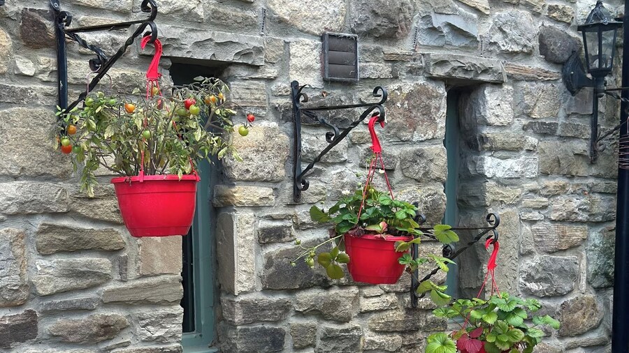 🌿 Quaint Country Cottage With Valley Views, Dog-friendly & Horse-friendly