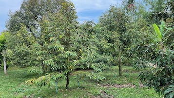 Utsikt fra overnattingsstedet