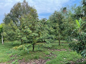 Näkymä majoituspaikasta