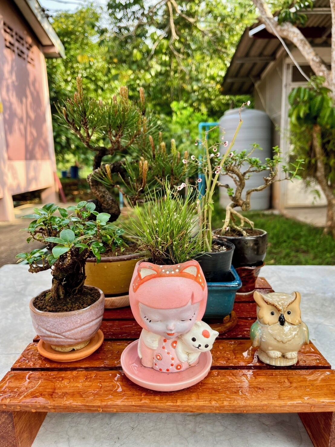 정원 전망