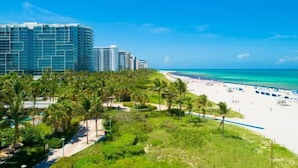 A beachfront hotel with a pool, palm trees, and a beach view.