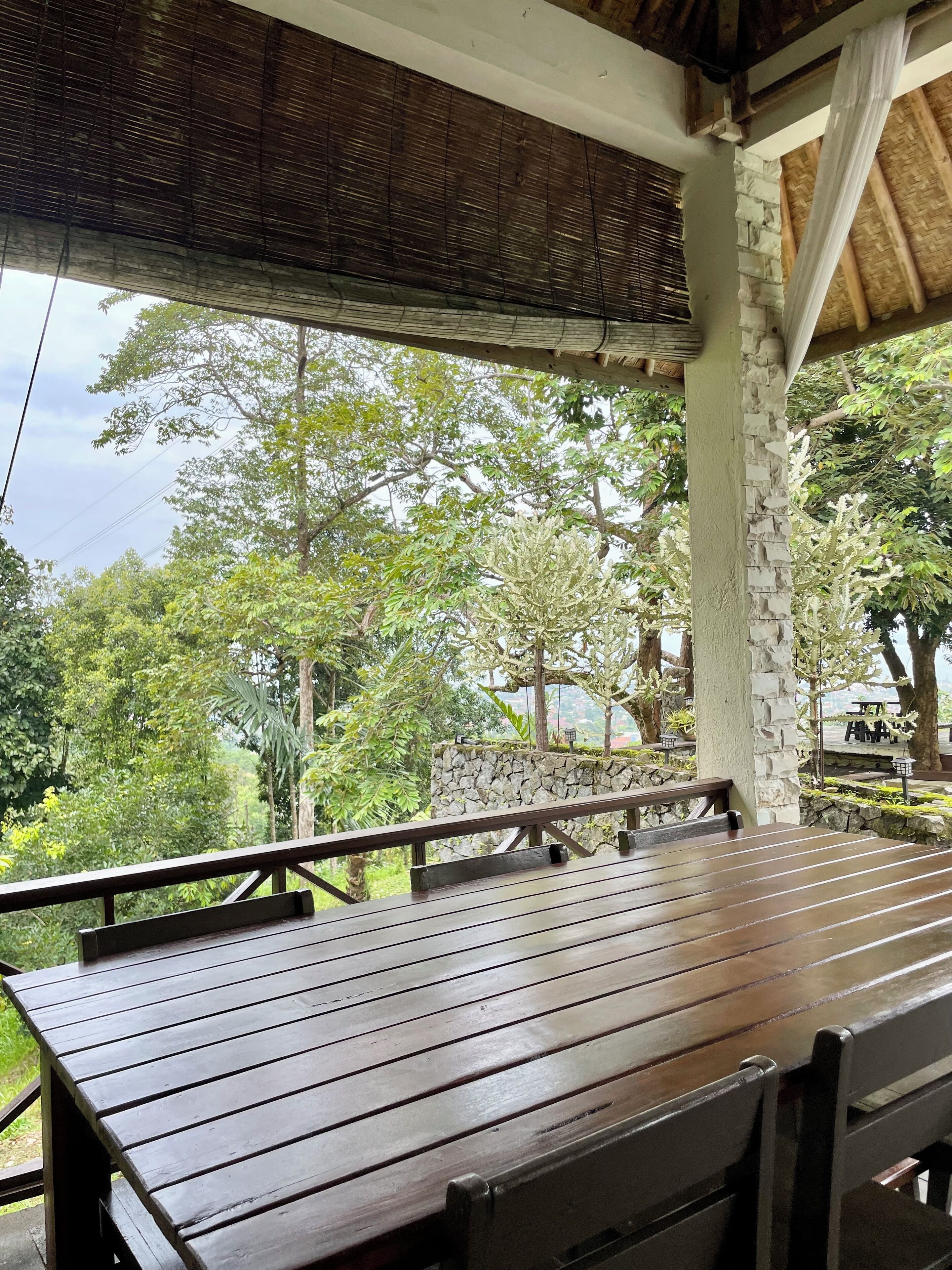 A wooden bench under a thatched roof, surrounded by greenery and a stone wall.