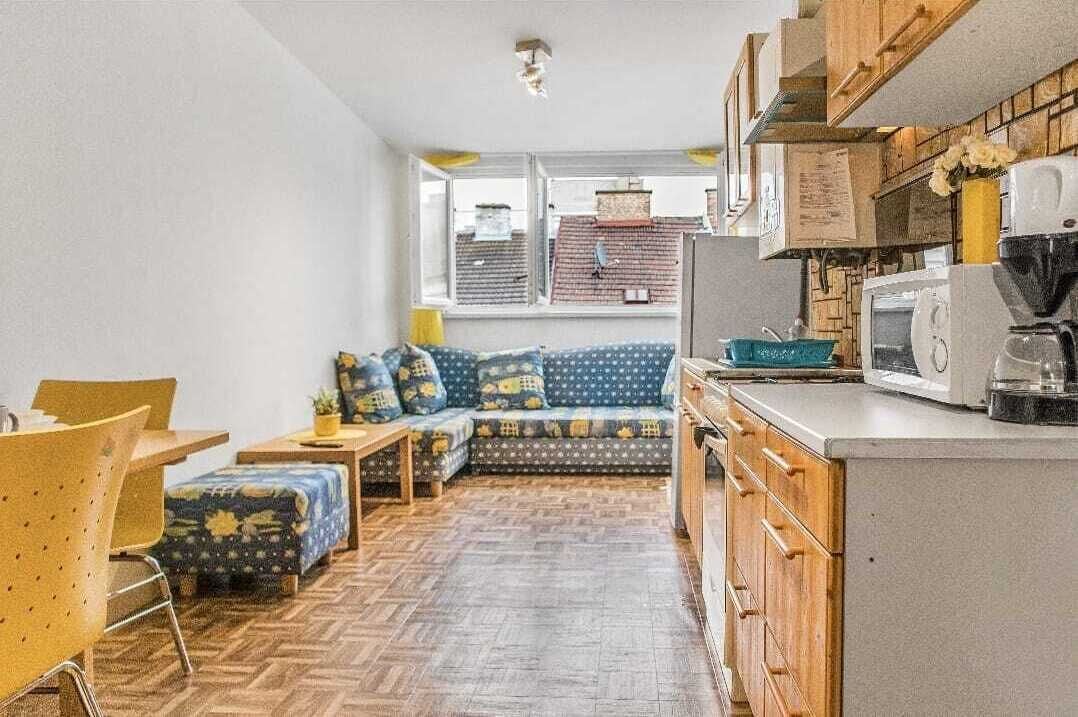 Basic Apartment | Private kitchen | Fridge, microwave, oven, stovetop