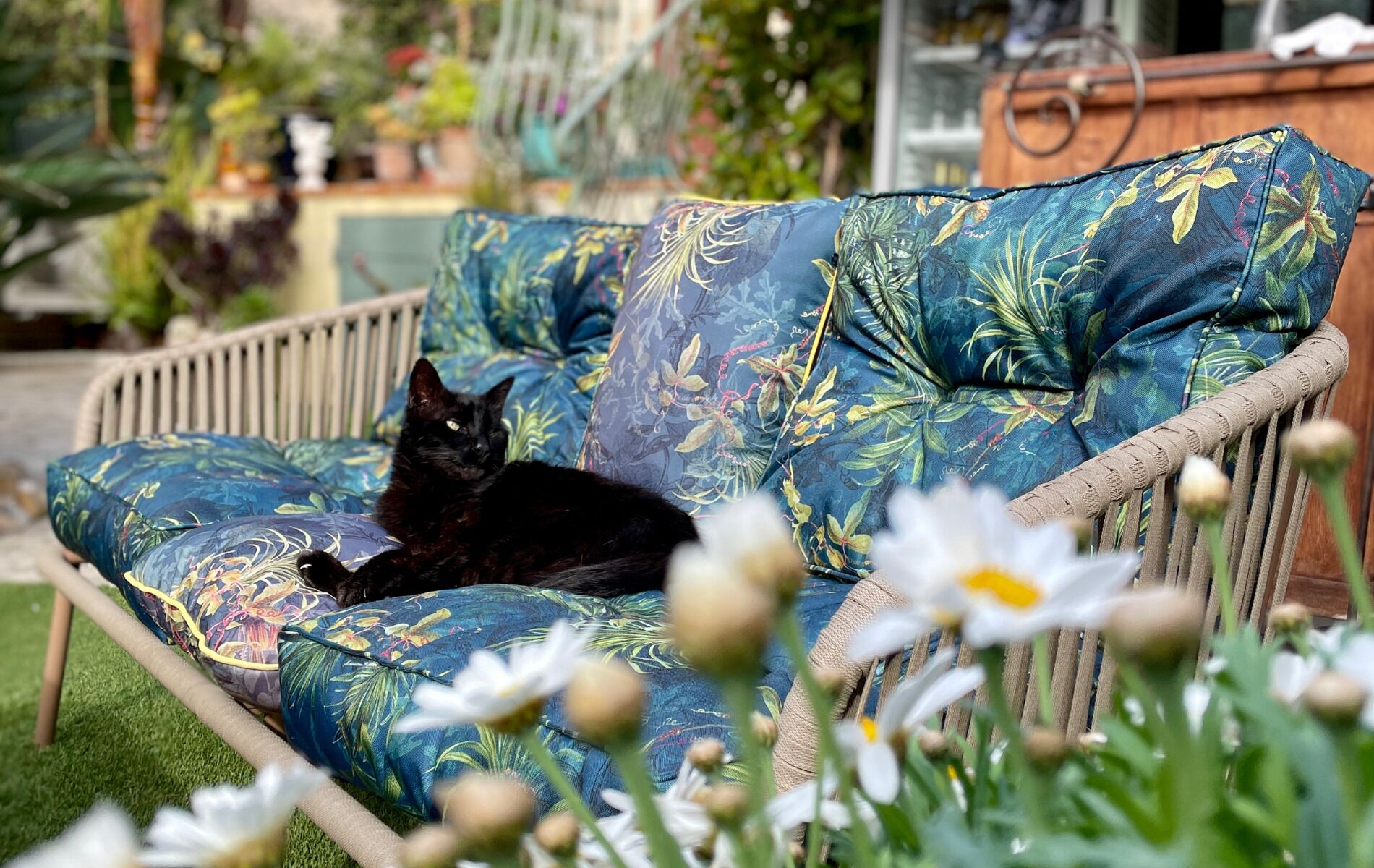 A black cat lying on a floral-patterned sofa in a garden setting.