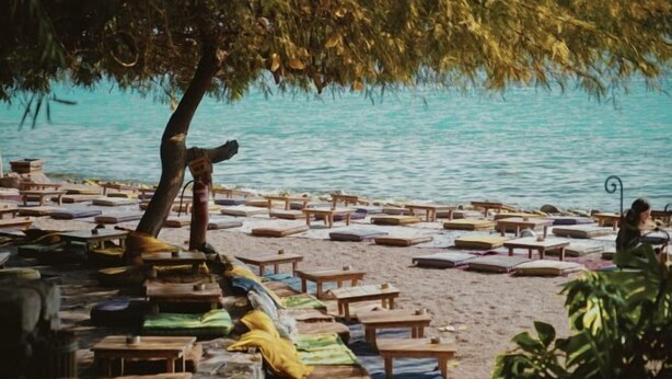 Una playa con sillas y mesas de madera dispuestas bajo un árbol, con vista a un mar tranquilo.