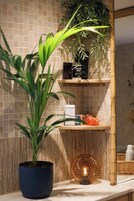 House, 2 Bedrooms | Interior