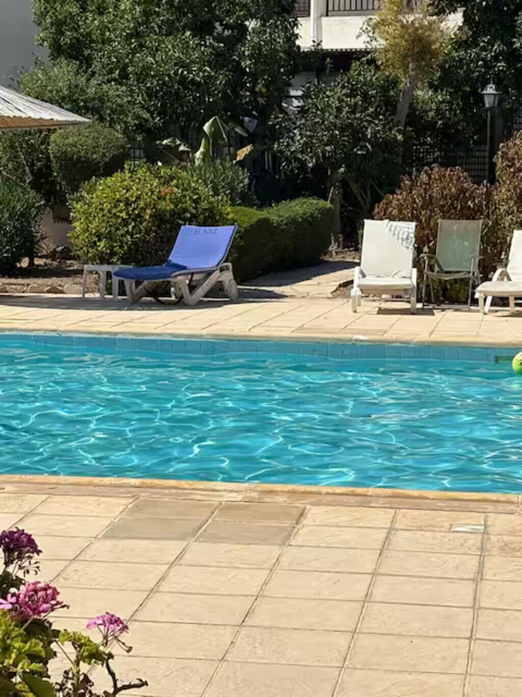 Alberca al aire libre 