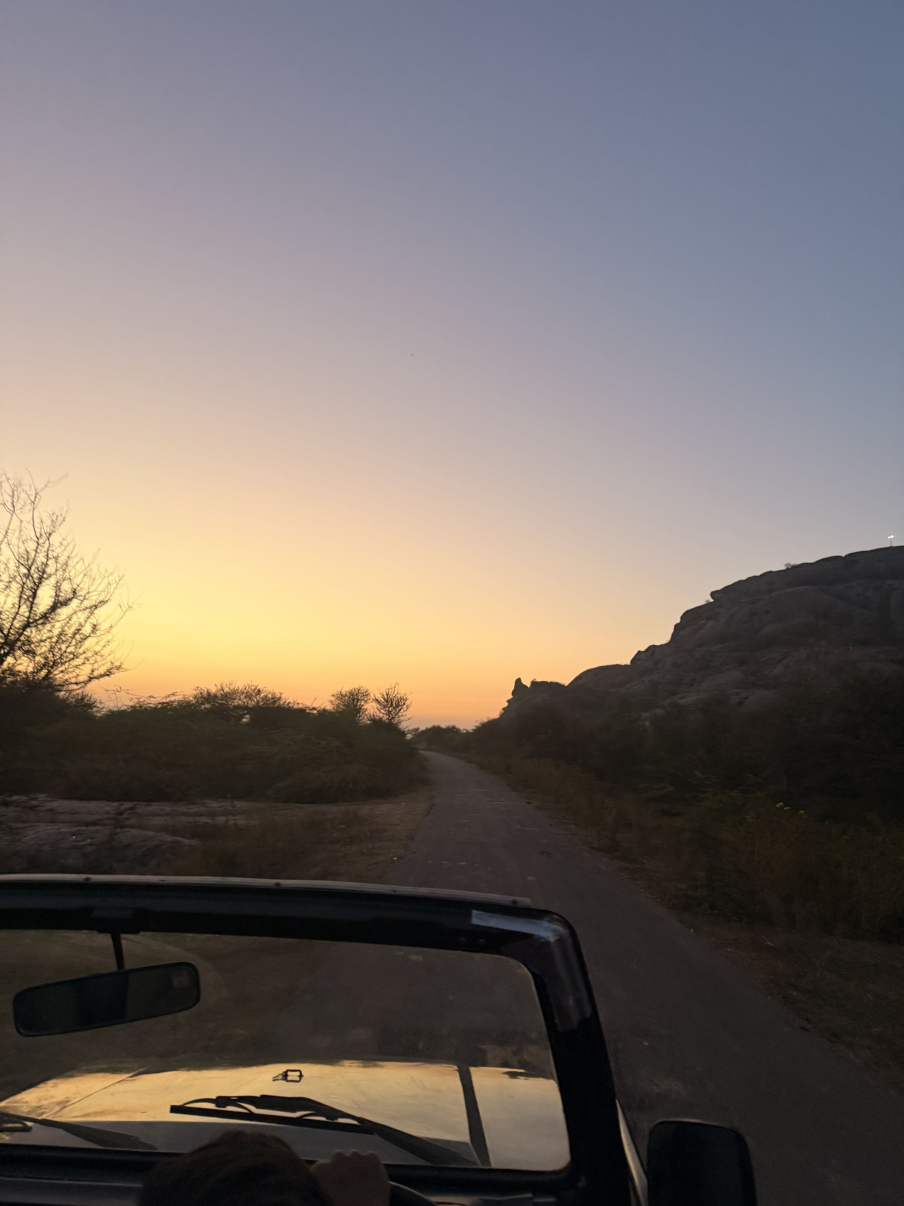 رحلة سفاري