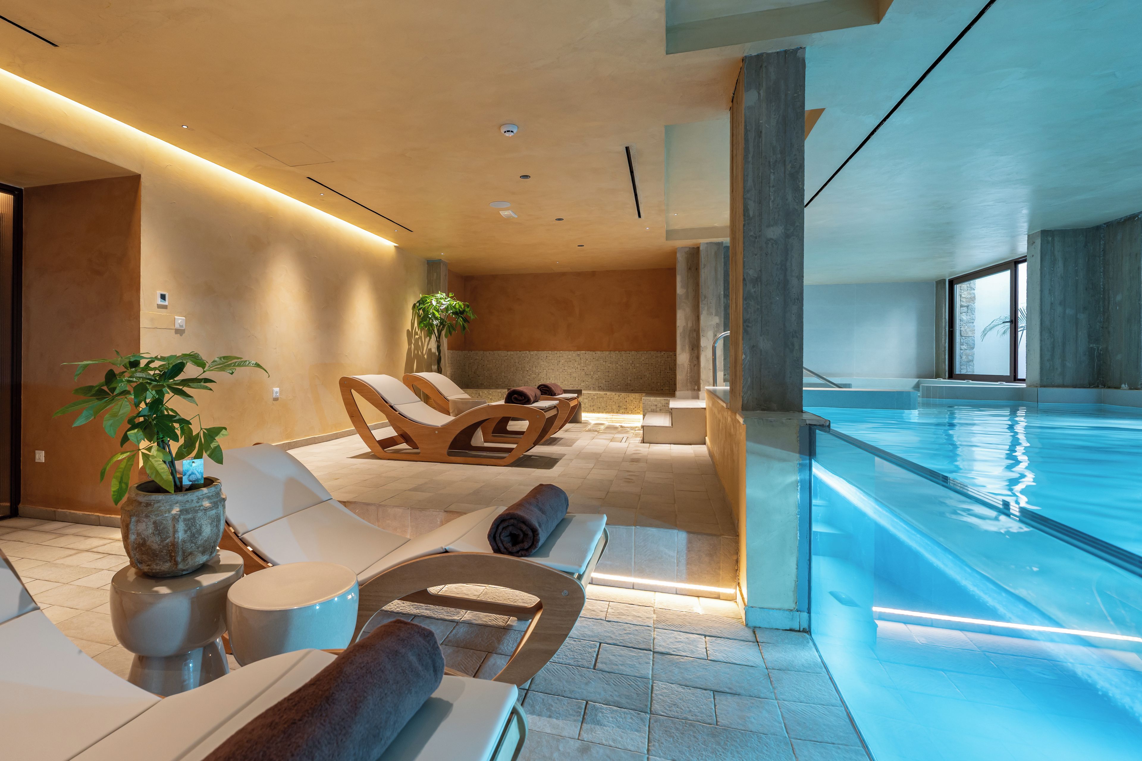 Un área de spa moderna con sillones de descanso, una piscina y una gran planta en maceta.