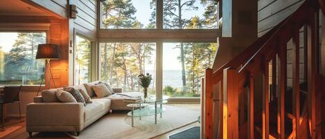 TV, fireplace, books