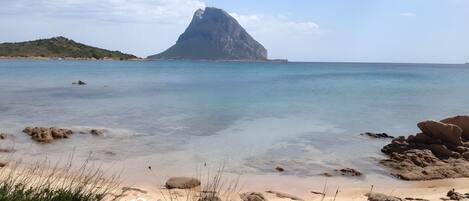 Una spiaggia nelle vicinanze