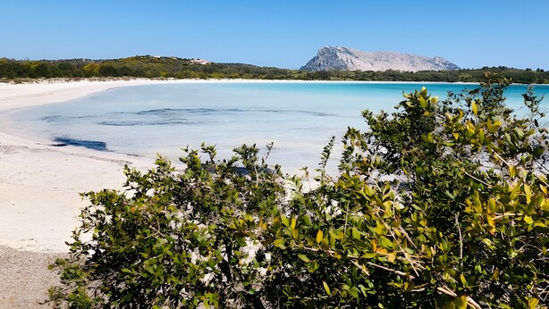 A beach with clear turquoise water, white sand, and a mountain in the background. - Villetta Oleandro with Sea View, Private Terrace and Garden (San Teodoro)