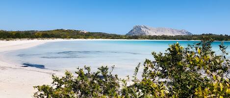 Playa en los alrededores
