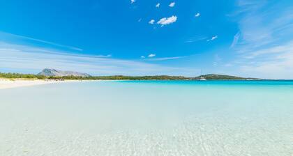 Apartment 'Trilocale Iris 300 Mt Beach' with Private Terrace and Private Garden