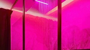 A room with a pink-lit interior, a large window, and a bed with a headboard. - T2 Luxury Canet • Beach 50m - Romantic stay ❤️ Love room (Canet-en-Roussillon)