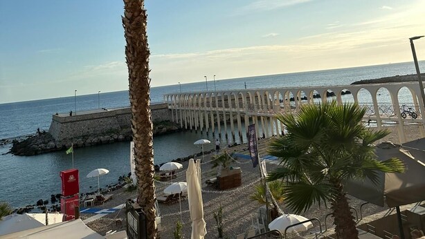 A beachside view with a palm tree, umbrellas, and a pier in the background.